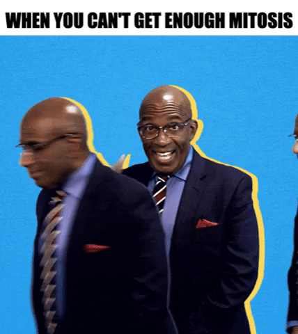 Seneca GIF