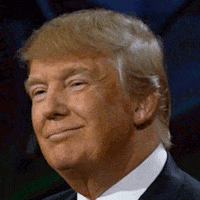 Donald Trump Wink GIF
