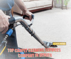 Carpet Cleaning Company In Denver GIF