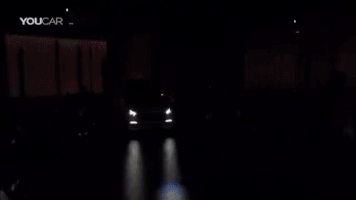 felipenegri  GIF