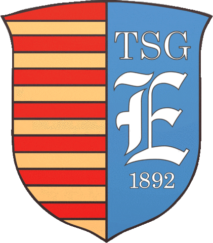 TSGEverode Sticker
