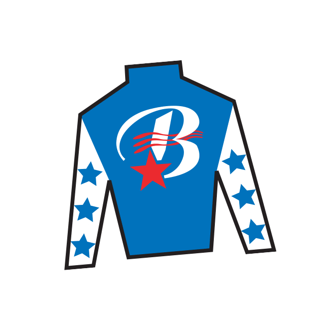 Horse Racing Sticker by Kentucky Derby