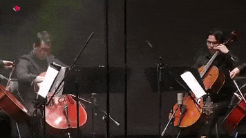 Violoncello Quartet GIF