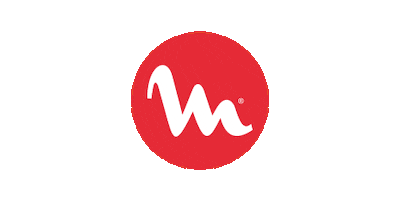 Moulinex Sticker
