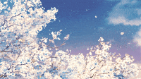 sakura GIF