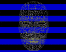 glitch face GIF by devindixon4597