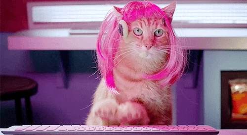 giphy.webp