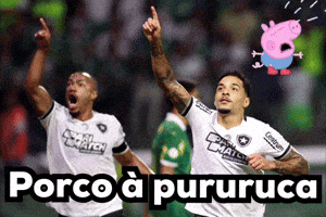 Libertadores GIF