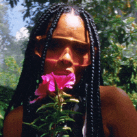 200.gif?cid=fc005b0814cfeba0ed861958f0d422b7b5f77b0149ea5463&rid=200.gif&ct=g