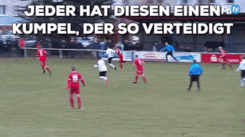 hanneshilbrecht  GIF