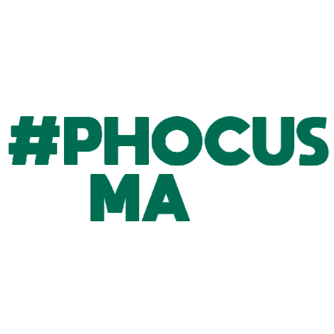 Grupo Phocus Sticker