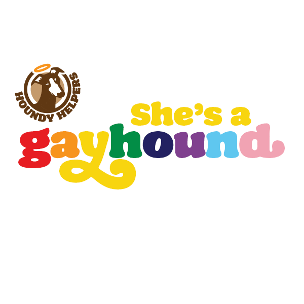 Pride Greyhound Sticker by Houndy Helpers NZ