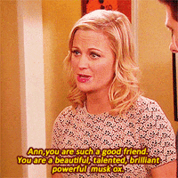 Leslie Knope GIFs - Find & Share on GIPHY