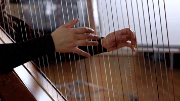 Fuji GIF