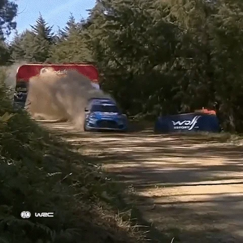 Driving Ford GIF by FIA World Rally Championship