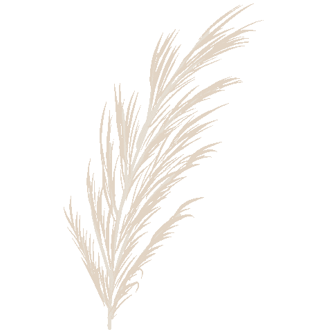 Leaves Boho Sticker by la sobremesa