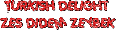 Turkish Delight Zumba Sticker by Didem Zeybek