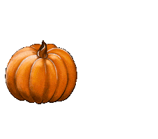 Fall Pumpkin Sticker