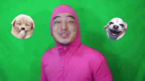 Greengangboljiodblancoss Kajmak GIF