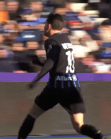 Supporters Blauw-Zwart GIF by Club Brugge