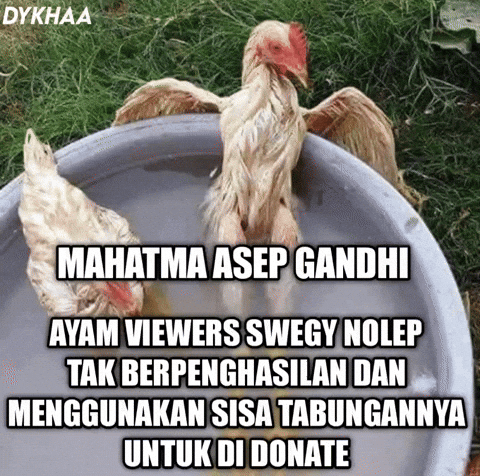 Ayam GIF