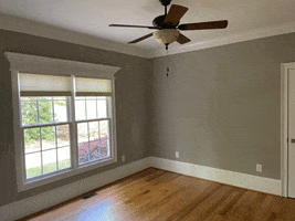 Painters In Gainesville Ga GIF