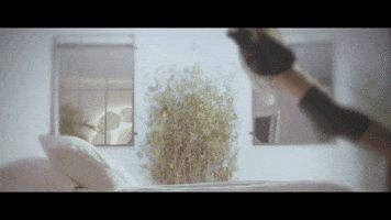 Audio Network GIF