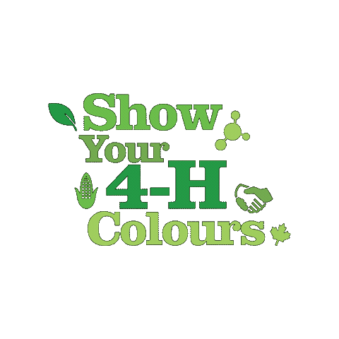Sticker by 4-H Canada