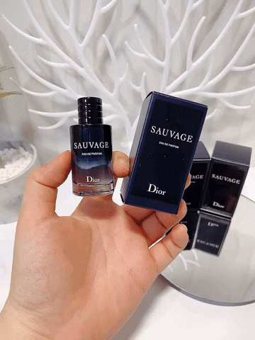 Christiandior GIF