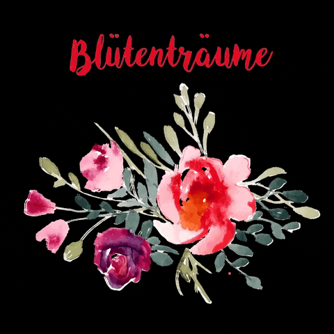 Holunderelfe GIF