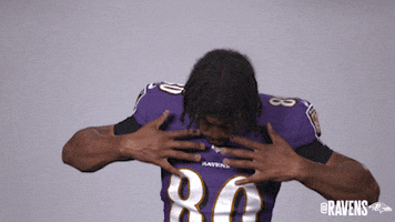 Football Jersey GIF by Baltimore Ravens