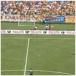 Monterrey Tigres GIF by BARSUK