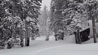 More Than Two Feet of Snow Falls in California's Sierra Nevada