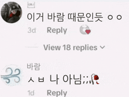 Mustve Been The Wind GIF