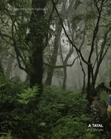 Forest GIFs