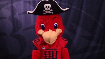 Big Red Thumbs Down GIF by Shippensburg University