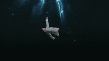 200.gif?cid=fc005b08e71bc5c1d114dcd7bcea74af50e21b9c3e6ed625&rid=200.gif&ct=g