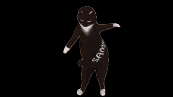 Cat Vr GIF