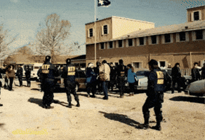 Nbc GIF