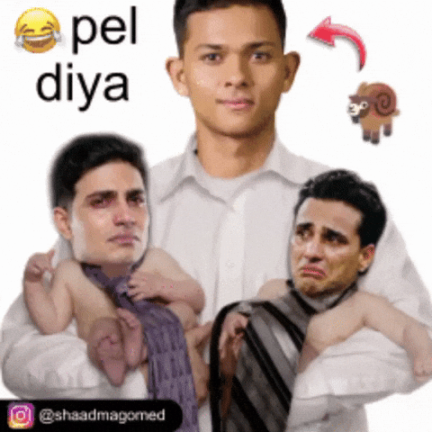 Rajasthan Royals GIF