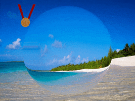 200.gif?cid=fc005b08339107992665b2e1c5d44172477d05705c8b770d&rid=200.gif&ct=g