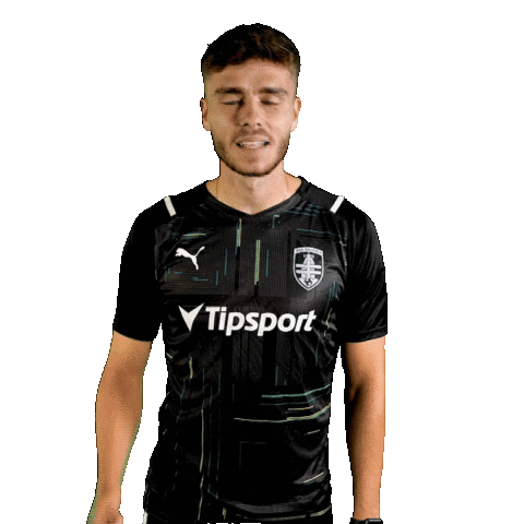 Sticker by MFK Skalica