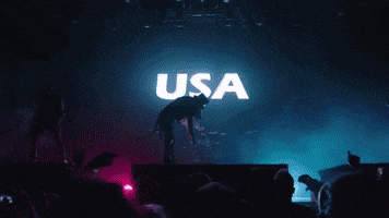 Usa Performance GIF by Rob Zombie