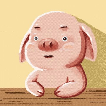 돼지 GIF