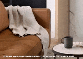 Area Rugs GIF