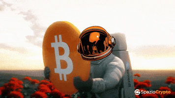 Spaziocrypto GIF