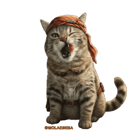 Indiana Jones Cat Sticker