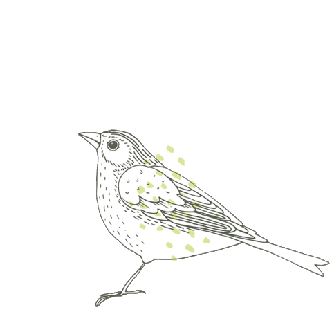 Vitalpina Hotels Südtirol Sticker