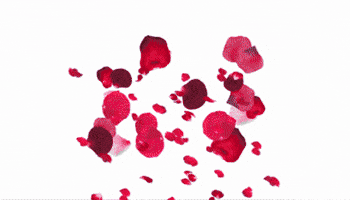 Friday Night Funkin GIF