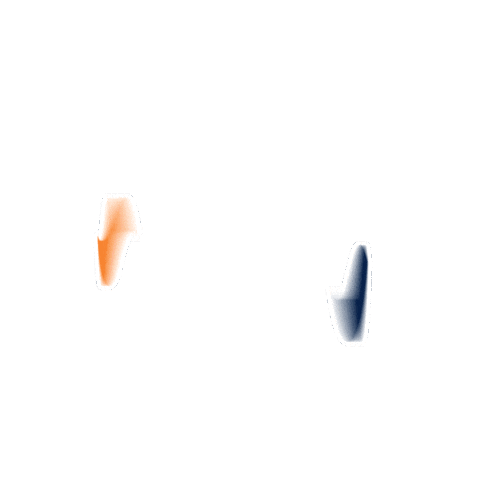 Shrimp Nordeste Sticker by Rio Nort Pescados